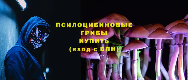 Псилоцибиновые грибы MAGIC MUSHROOMS  Конаково 